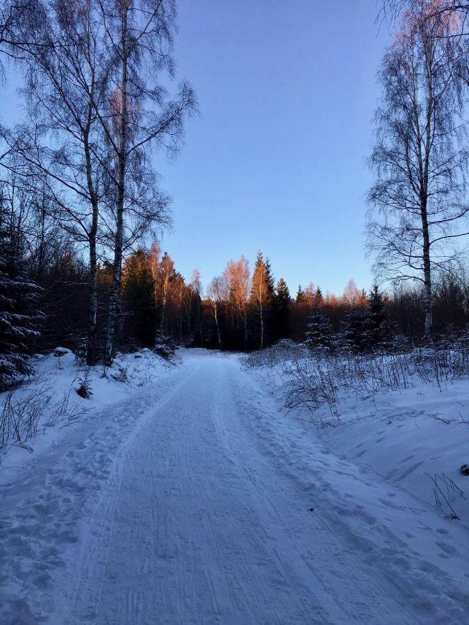 Fewo Harzromantik Braunlage Eksteriør billede